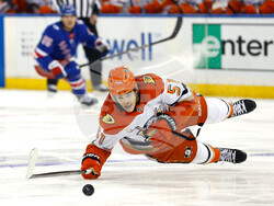 Ducks Rangers Hockey