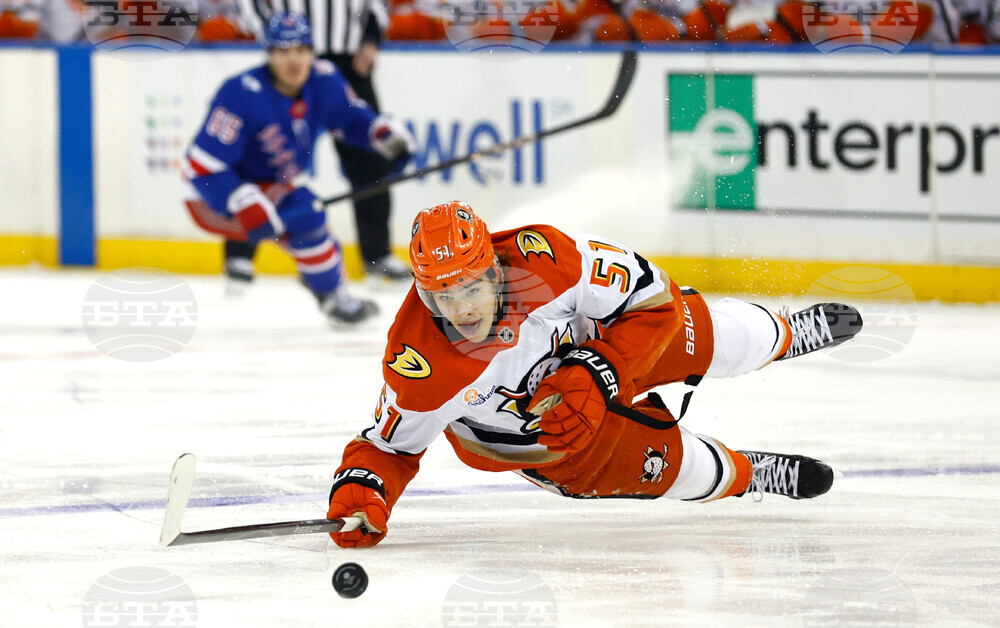 Ducks Rangers Hockey