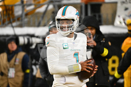 Dolphins Steelers Football