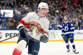 Panthers Lightning Hockey