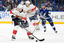 Panthers Lightning Hockey