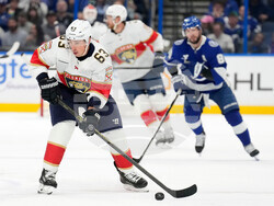 Panthers Lightning Hockey