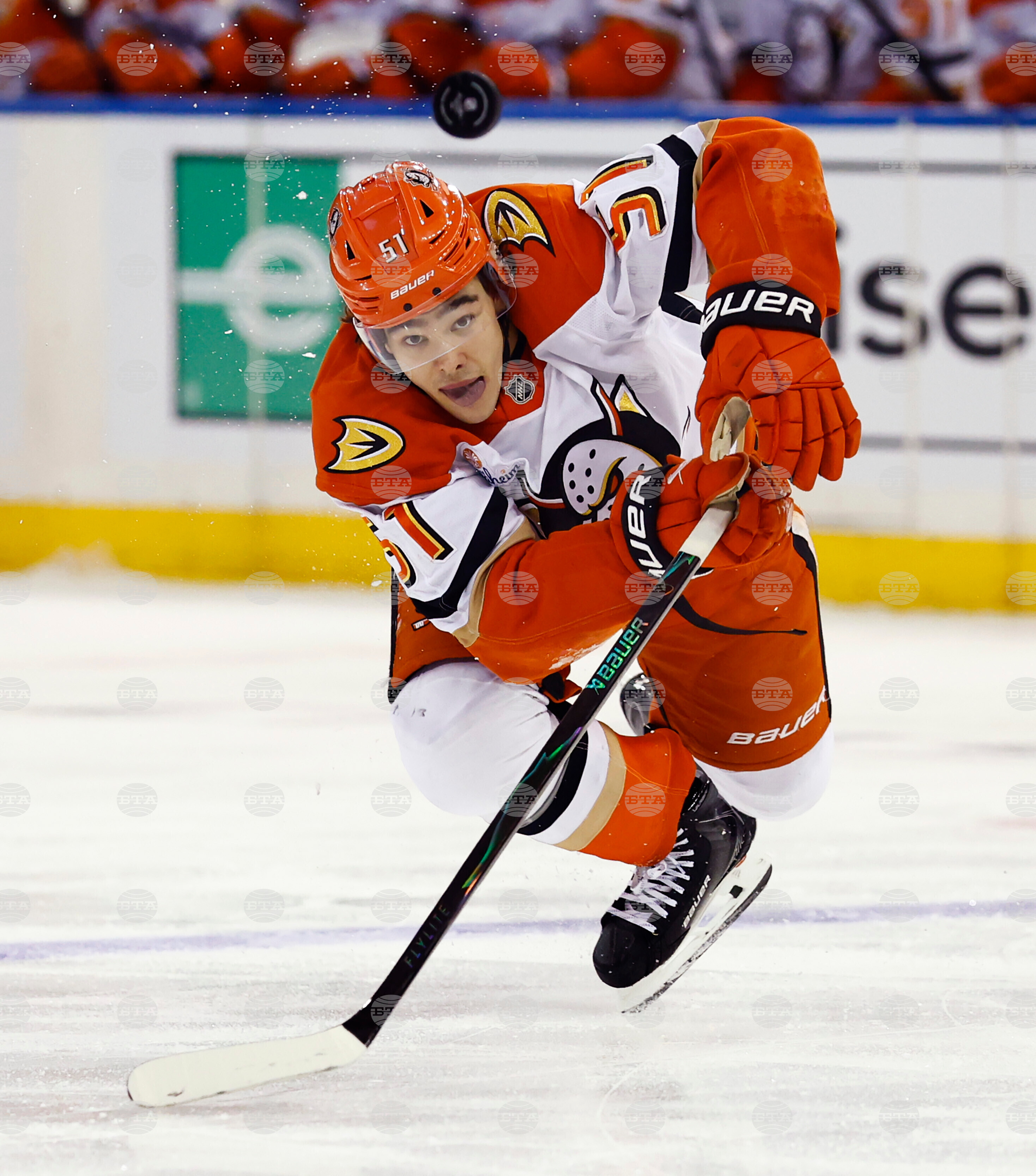 Ducks Rangers Hockey