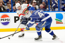 Panthers Lightning Hockey