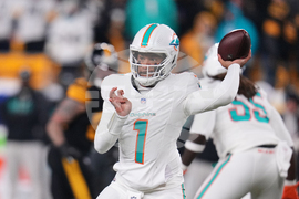 Dolphins Steelers Football