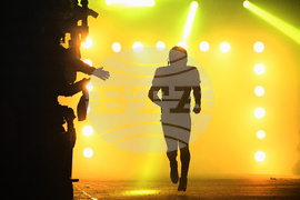 APTOPIX Dolphins Steelers Football