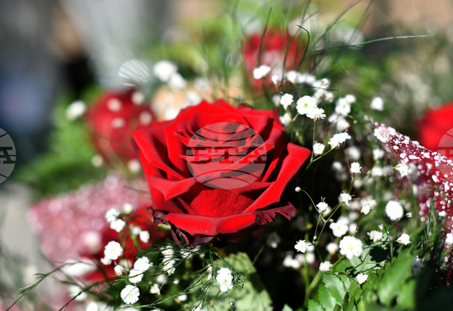 Исперих - цветя за 8-ми март