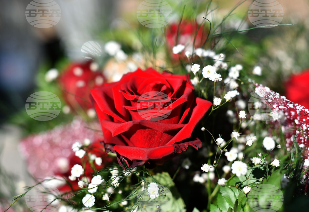 Исперих - цветя за 8-ми март