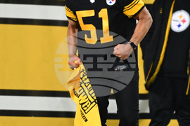 Dolphins Steelers Football