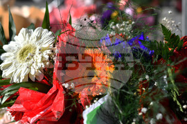 Исперих - цветя за 8-ми март