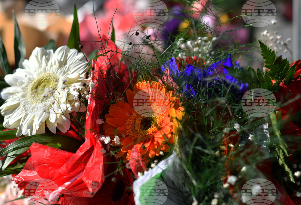 Исперих - цветя за 8-ми март