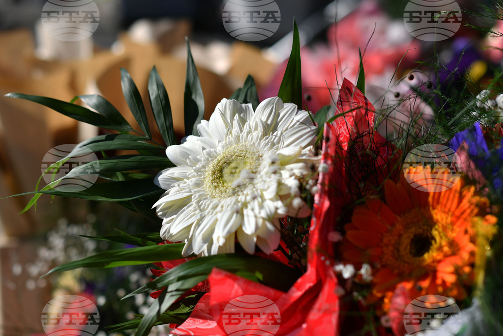 Исперих - цветя за 8-ми март