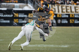 APTOPIX Dolphins Steelers Football