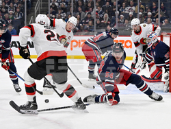 Senators Jets Hockey