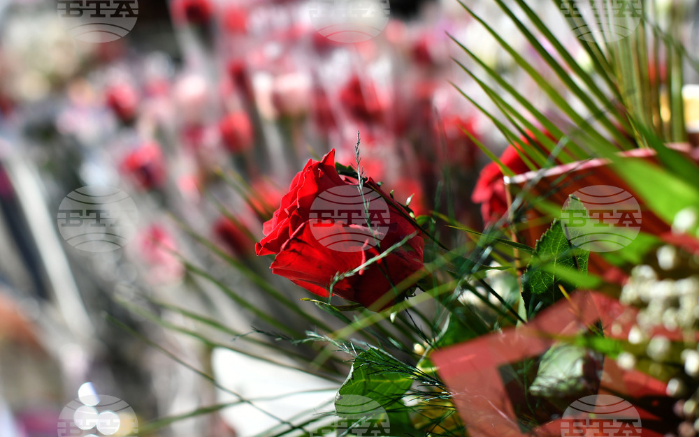 Исперих - цветя за 8-ми март