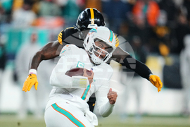 APTOPIX Dolphins Steelers Football