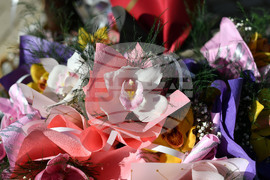 Исперих - цветя за 8-ми март