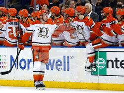 Ducks Rangers Hockey