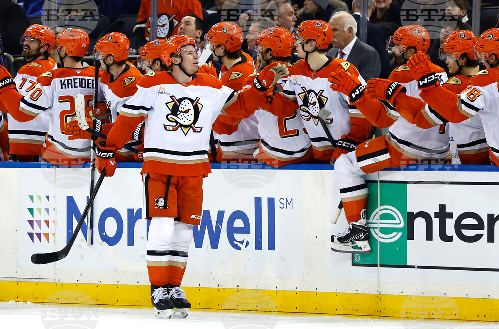 Ducks Rangers Hockey