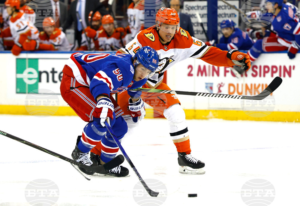 Ducks Rangers Hockey