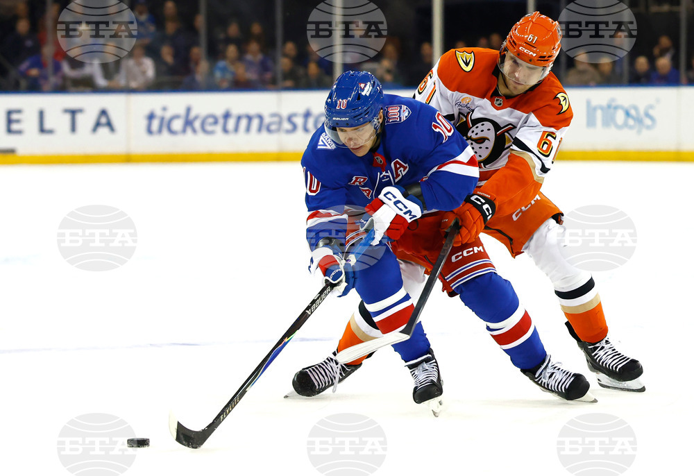 Ducks Rangers Hockey