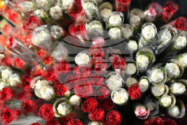 Исперих - цветя за 8-ми март