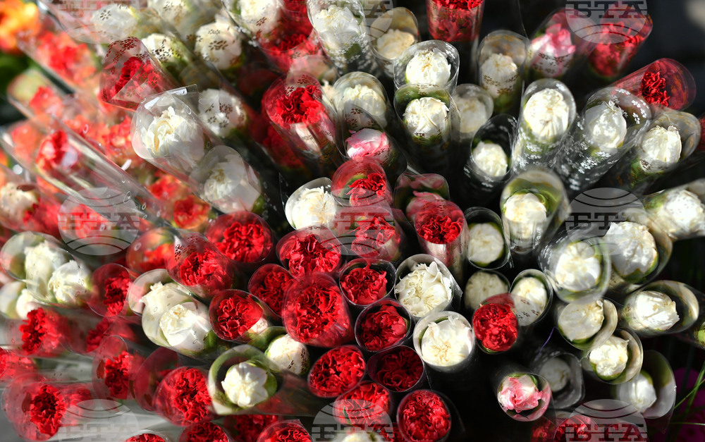 Исперих - цветя за 8-ми март