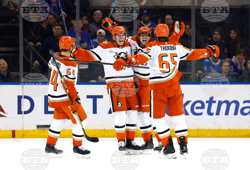 Ducks Rangers Hockey