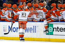 Ducks Rangers Hockey