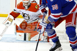 Ducks Rangers Hockey