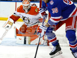 Ducks Rangers Hockey