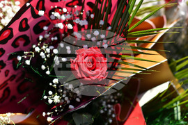 Исперих - цветя за 8-ми март