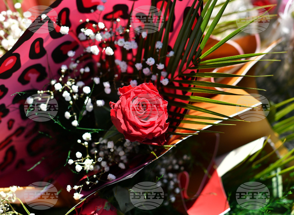 Исперих - цветя за 8-ми март