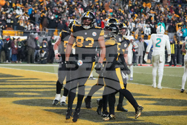 APTOPIX Dolphins Steelers Football