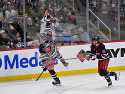 Senators Jets Hockey