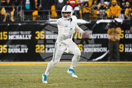 Dolphins Steelers Football