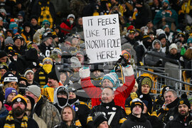 Dolphins Steelers Football