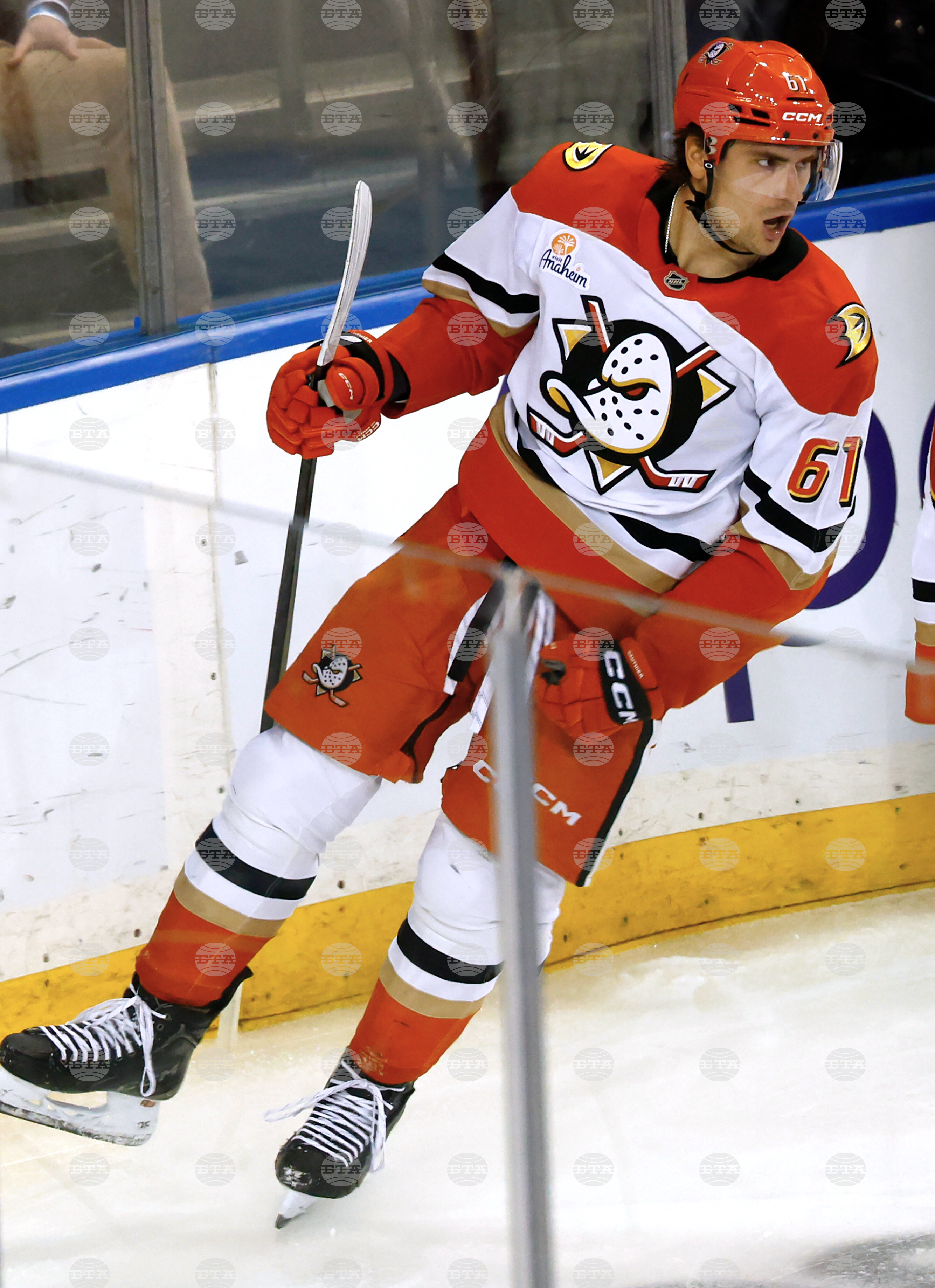 Ducks Rangers Hockey