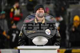 APTOPIX Dolphins Steelers Football