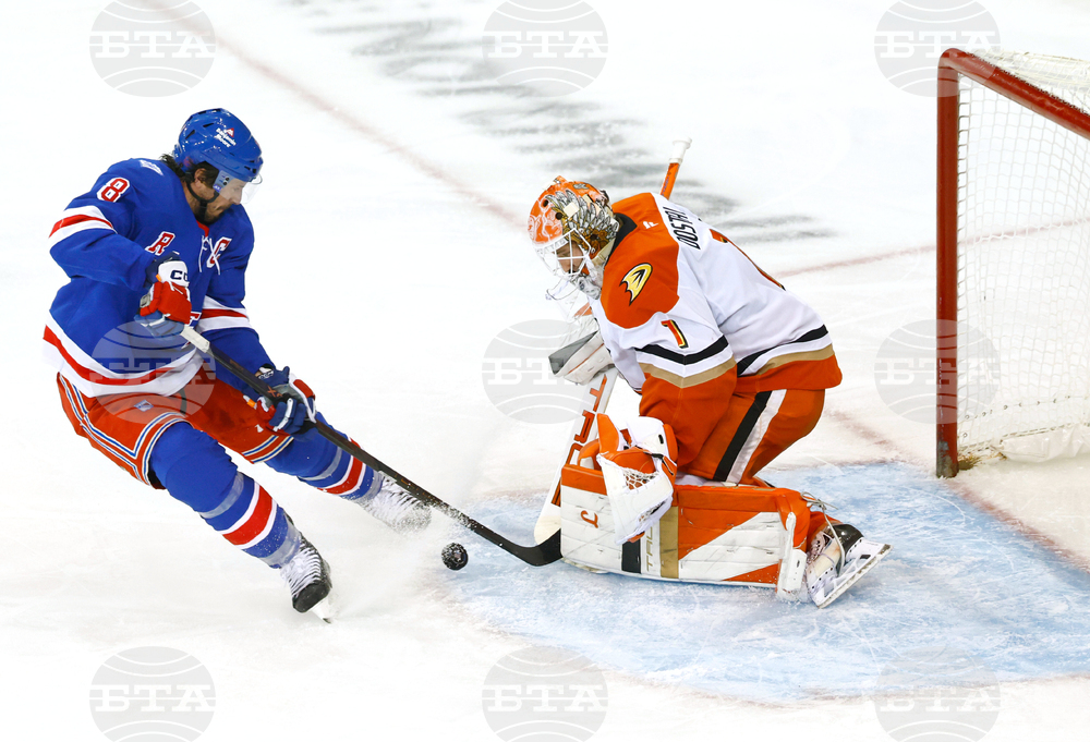 Ducks Rangers Hockey