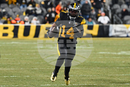 Dolphins Steelers Football