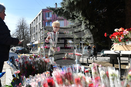 Исперих - цветя за 8-ми март