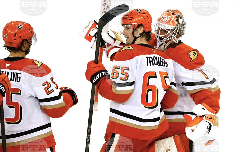 Ducks Rangers Hockey