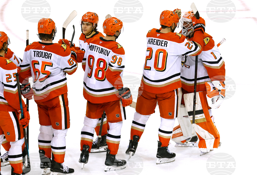 Ducks Rangers Hockey