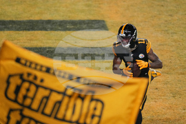 Dolphins Steelers Football