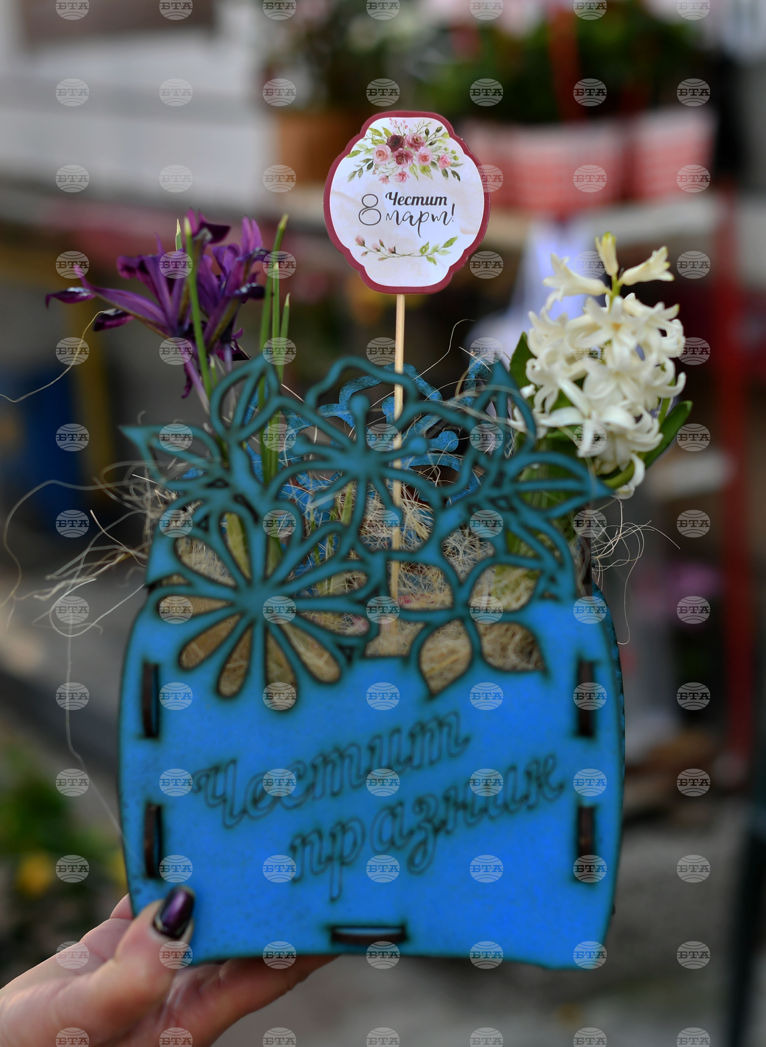 Исперих - цветя за 8-ми март