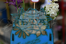 Исперих - цветя за 8-ми март