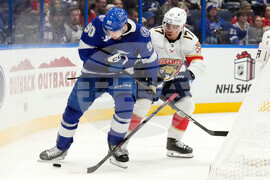 Panthers Lightning Hockey