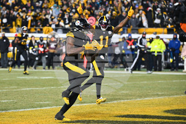 Dolphins Steelers Football