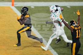 APTOPIX Dolphins Steelers Football